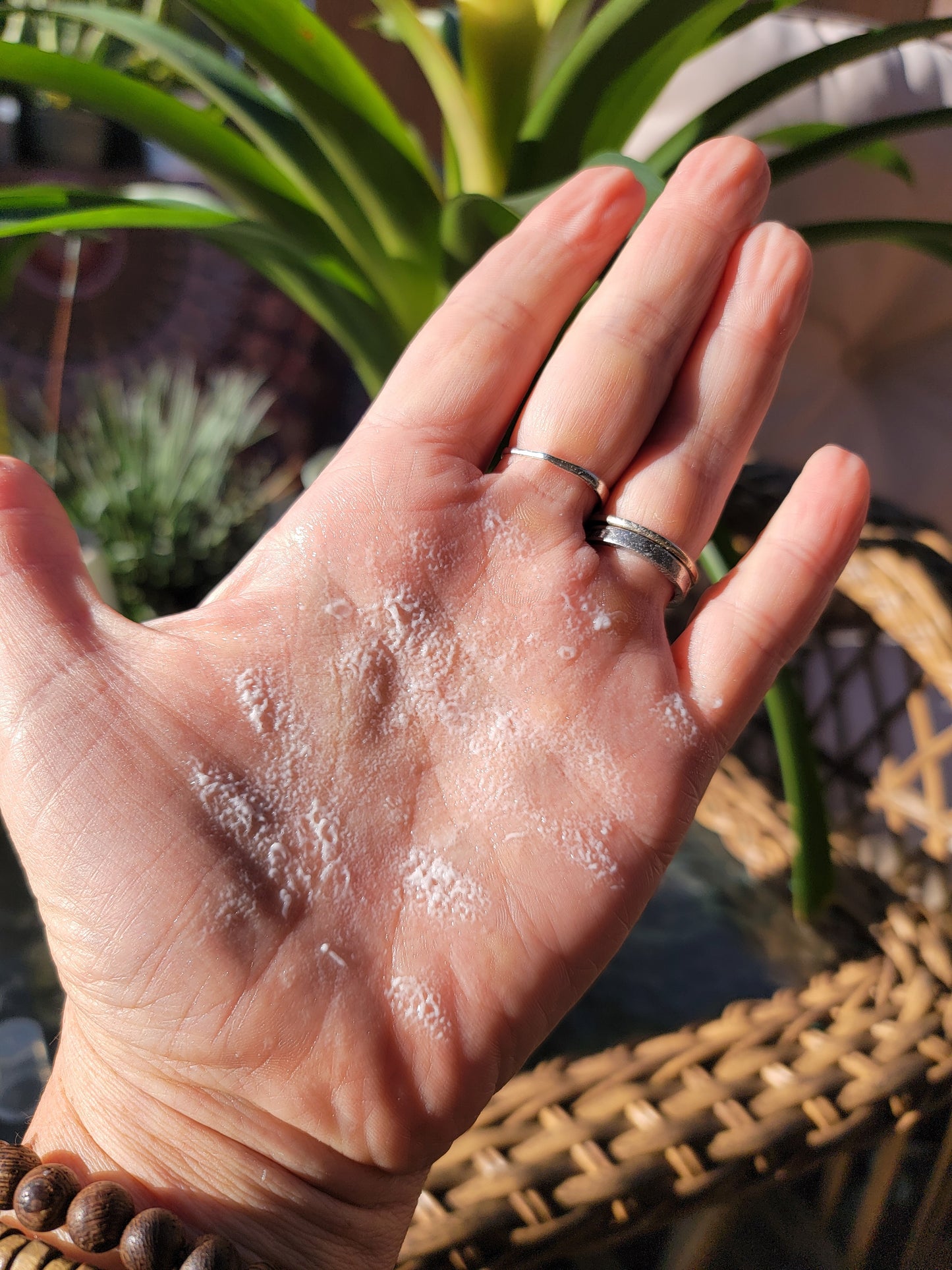 Milky Leave-In Condition